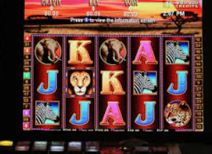 196体育经典版最新版